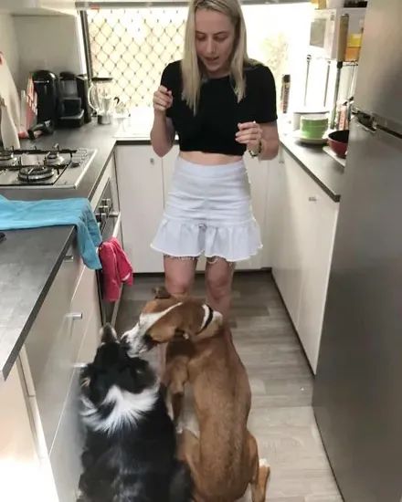 带狗狗去女朋友家玩,它却把家都拆了
