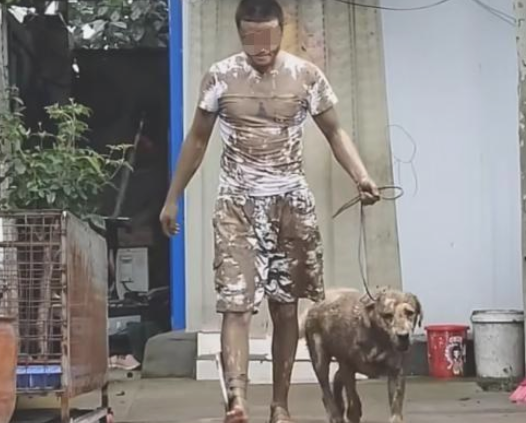 主人把狗狗赶出家门口,回家时的模样令人笑喷