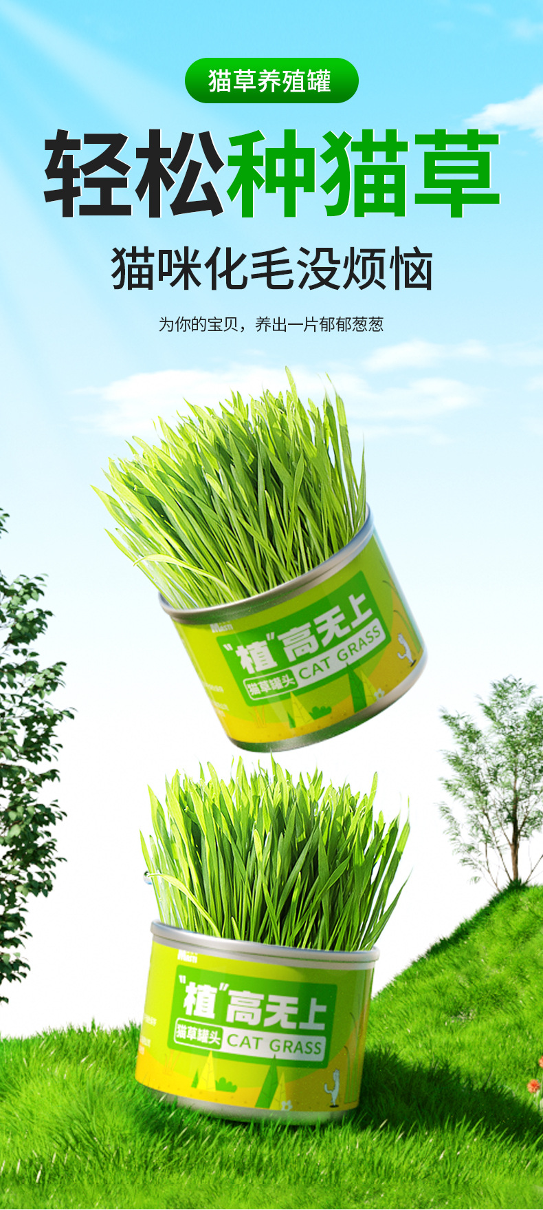 猫草罐头懒人猫草种植套装（不包邮）