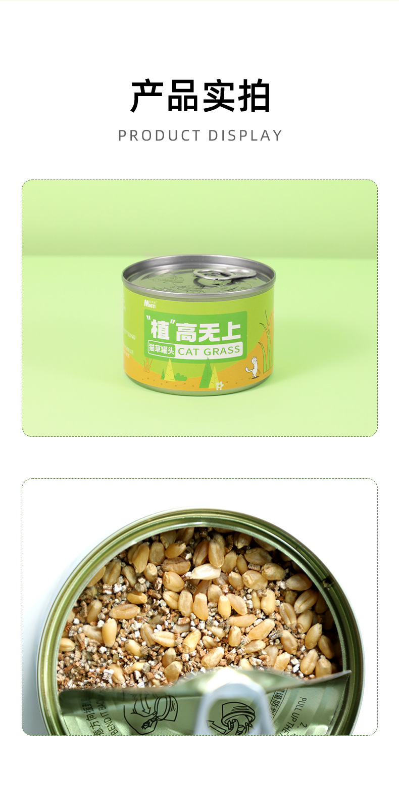 猫草罐头懒人猫草种植套装（不包邮）