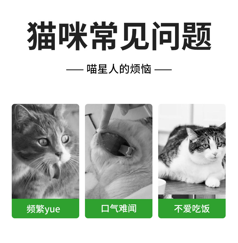 猫草罐头懒人猫草种植套装（不包邮）