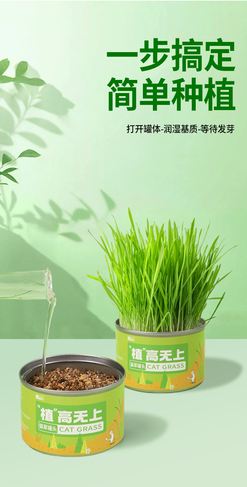 猫草罐头懒人猫草种植套装（不包邮）