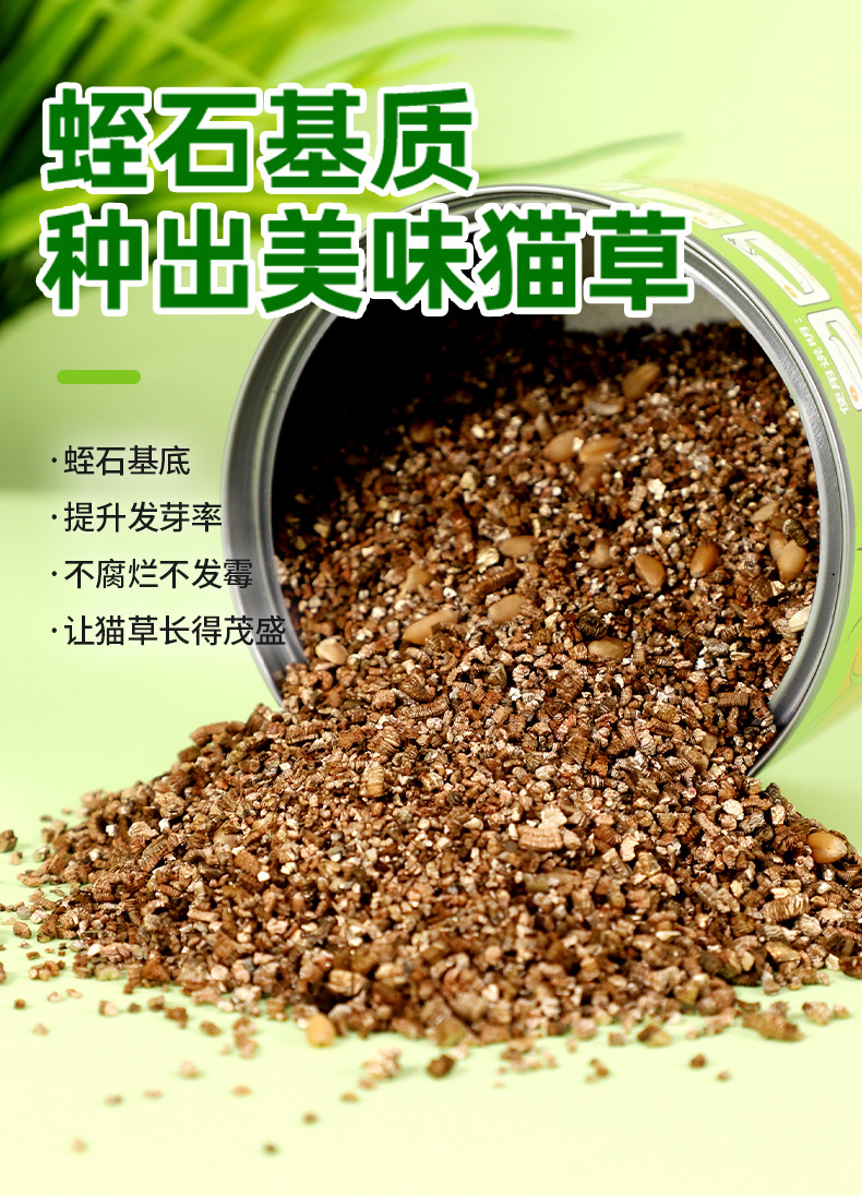 猫草罐头懒人猫草种植套装（不包邮）