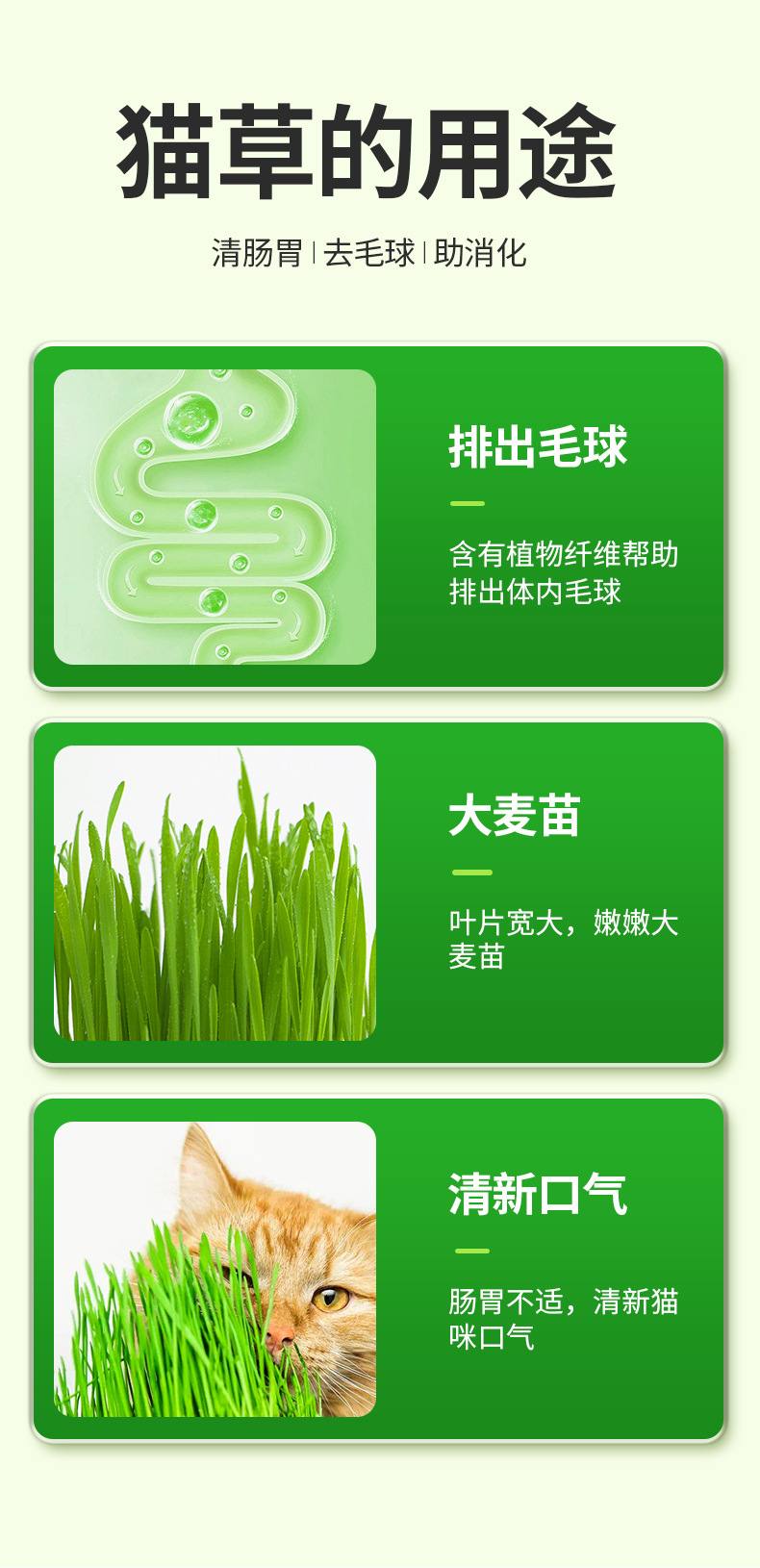 猫草罐头懒人猫草种植套装（不包邮）