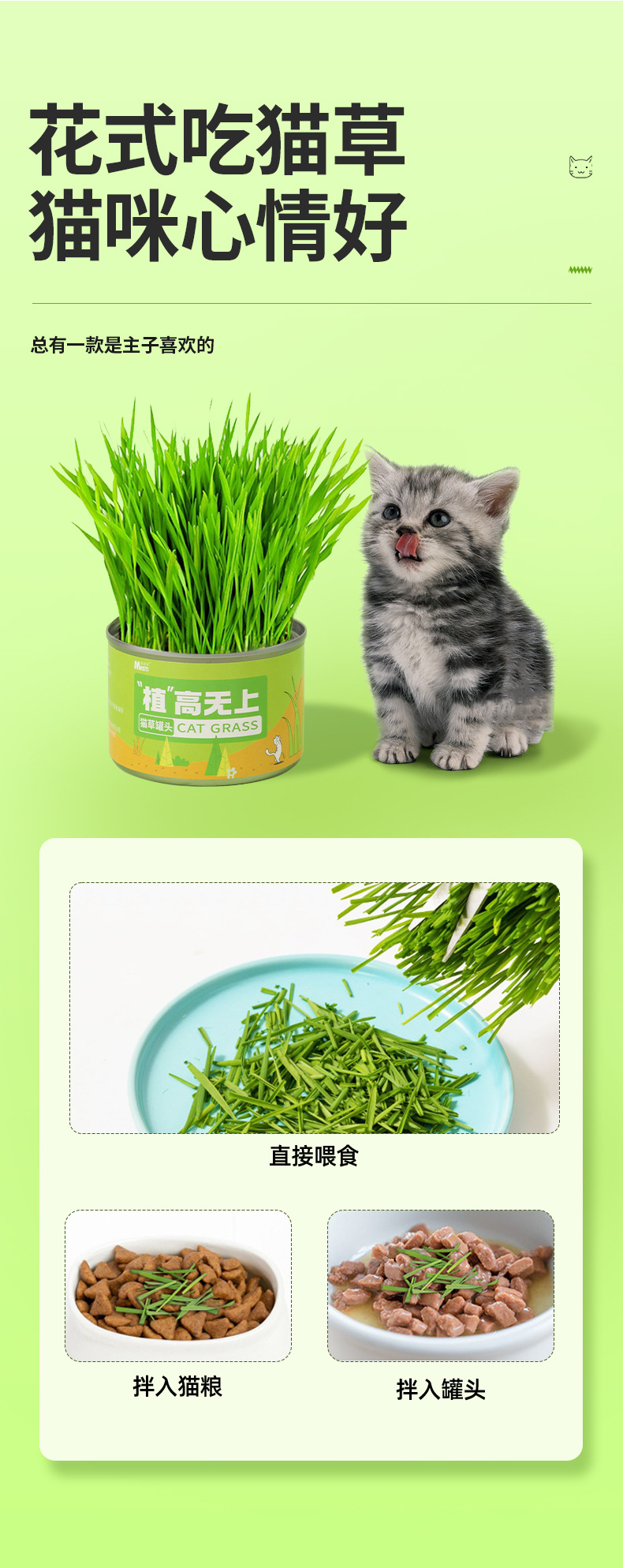 猫草罐头懒人猫草种植套装（不包邮）