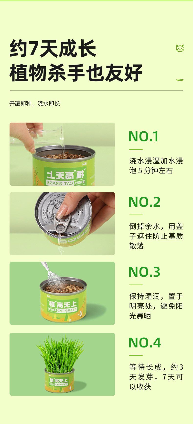 猫草罐头懒人猫草种植套装（不包邮）