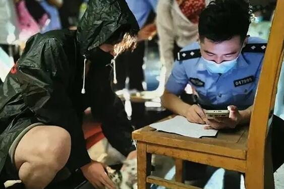 上百只活体宠物盲盒被遗弃在小区门口,奶猫奶狗哀嚎不止