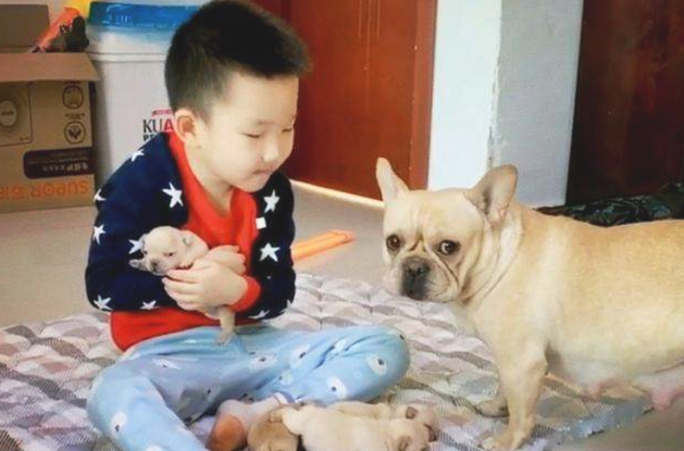 狗崽子和熊孩子打架斗殴,彼此的父母都很淡定从容啊,过后均称误解