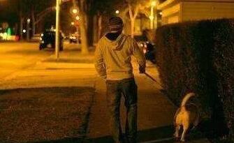 为何很多国人半夜才遛狗?并且见老人就跑,还不愿和陌生狗玩?