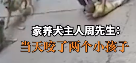 疯狗扑咬幼童,家犬冲上前将其赶跑,犬主:养了7年很有灵性