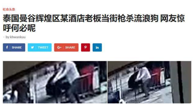 疑因姿势不对,男子投喂流浪狗被咬,恼羞成怒把狗打死
