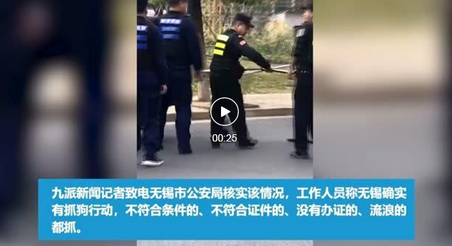 “中国打狗热”:比流浪动物可怕的是无知,比无知更可怕的是人心!
