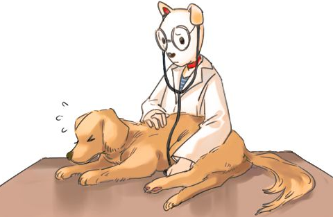 狗狗忍痛割爱能力虽强,却并不是哪些好事儿,怎样发觉汪不舒服呢?