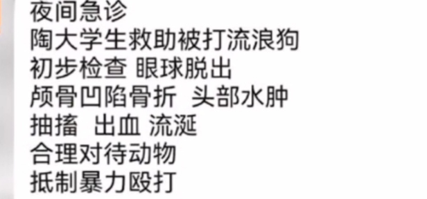 虐狗惨案频发,社会:我得了大病