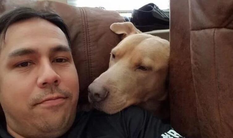 国外一只宠物狗,不慎走丢后流浪1300公里,花了5年时间找到主人