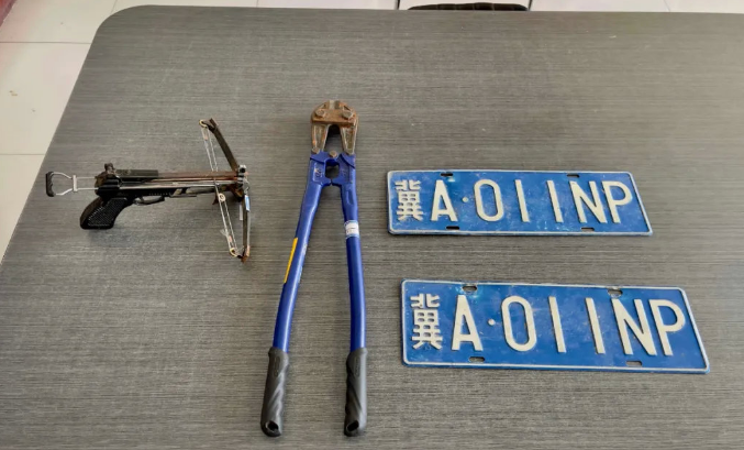 哥俩开套牌车偷狗 三年作案数十起获利数万元