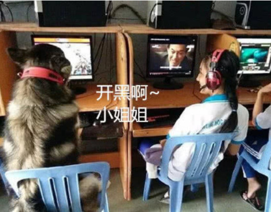 男孩领狗网咖玩游戏,被妈妈处罚推卸责任给狗,小狗表明憋屈的难受想哭