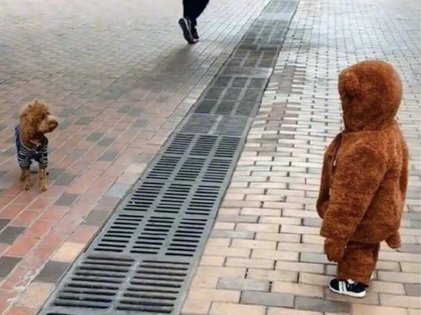 2个孩子衣着新衣服裤子外出,泰迪犬见了她们都愣住:我们都是同类吗?