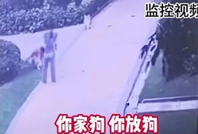 男子遛狗不拴绳致狗被咬,称自己是警察,威胁对方小心点