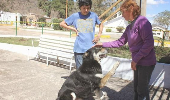 忠犬依靠自己寻找主人墓葬,独自一人守墓十一年,过世后差点儿和主人合墓