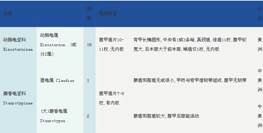 动胸龟身份信息
