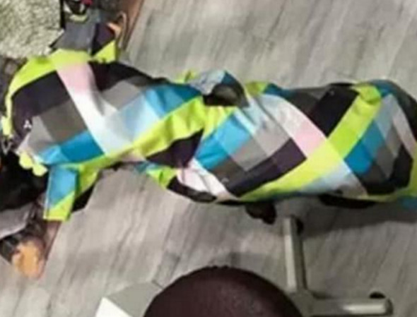 女主给狗狗用心穿着打扮一番,当狗狗现身后,网民:太漂亮害怕看!