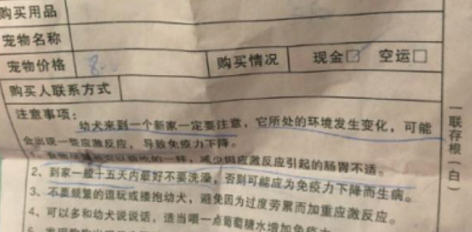 扎心!1500元买了只“星期狗” 宠物店:只换不退