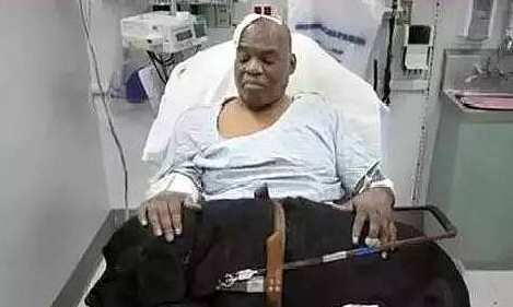 导盲犬舍命救主,主人却不得不将导盲犬“抛弃”