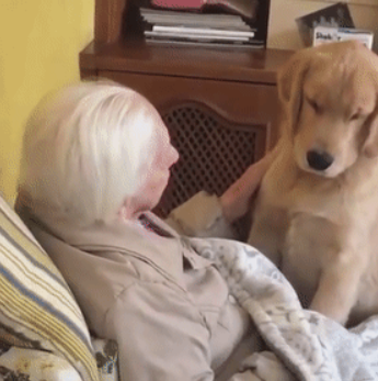 因为养狗,一年减了177斤