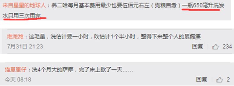 主人宁愿自己淋雨,也要给狗狗穿雨衣,真相让铲屎官们感同身受
