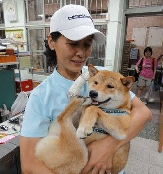 校犬误校庆入舞狮表演 一场即兴表演逗笑同学们