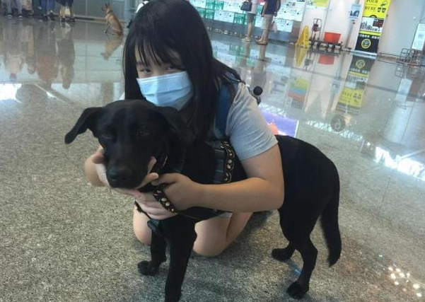 狗狗被勒脖子已休克,女孩不听劝非要救