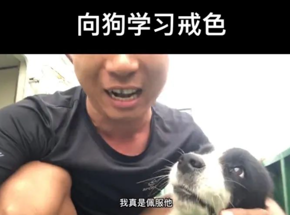 戒色博主晒18岁边牧,说它长寿是没见过母狗!网友破防:难怪我能活到20岁...