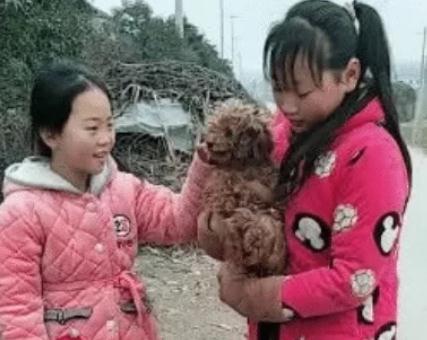女孩在垃圾桶中捡到一只“猴子”,回家发现是一只狗,富人最喜欢
