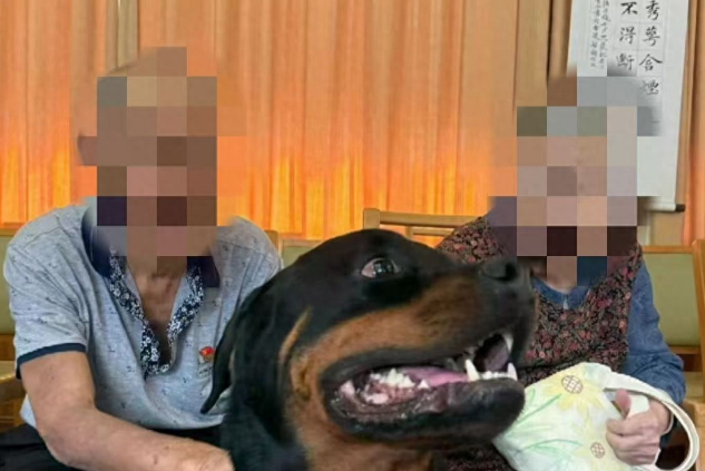 助教犬上课途中疑中毒死亡!宠物安全遭威胁