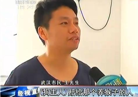 宠物斗牛犬当街紧咬小猴不放 主人因此大打出手