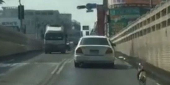 狗狗遭弃养 狂追轿车摇尾趴门却没人理