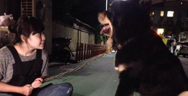 巨犬在店,不怕可进!虽然狗狗在打瞌睡,但没人敢进门!