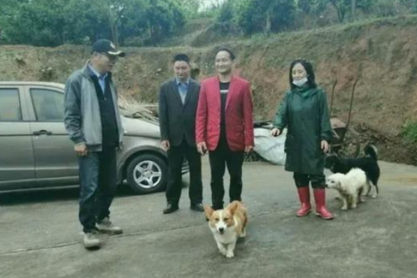 愿做菩萨那朵莲：她孤身一人，18年收留180条流浪狗……