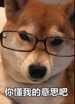 如何一句话证明你养了狗？