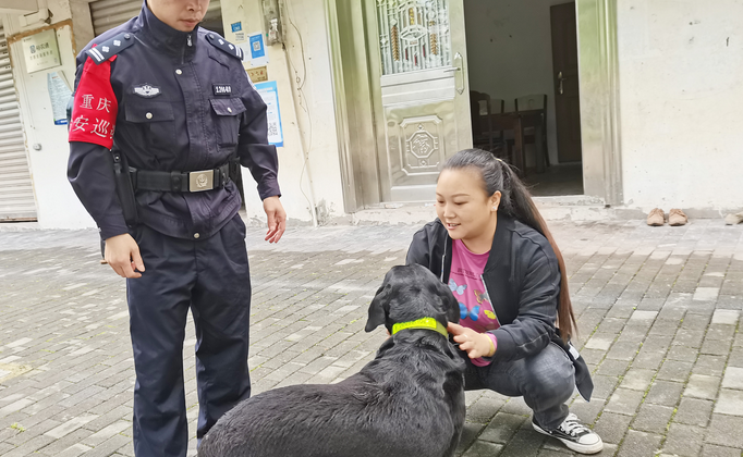 警民都笑了!真警察助“假警犬”回家