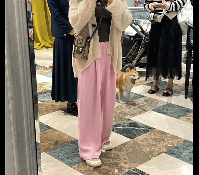 女生带上小狗外出逛街购物,试穿拍下它打呵欠的模样,连狗都累了!