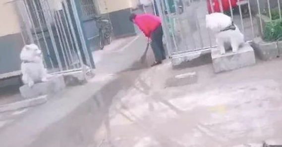 二只萨摩耶被作为石狮子,在正门口的两侧执勤,狗:出去做个做兼职