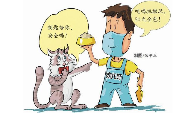 上门帮喂猫代遛狗!职业“宠托师” 您敢托付吗?律师提醒来了
