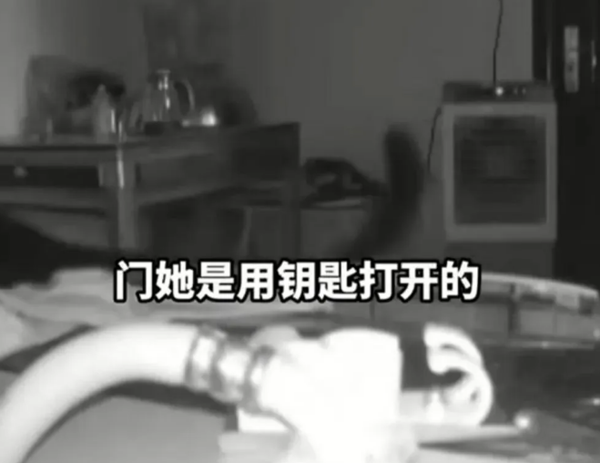 女子私闯房屋被狗咬伤后让业主负责