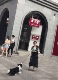 老婆要去购物小狗拼了命阻止:你丈夫嘱咐了不能让你胡乱花钱!