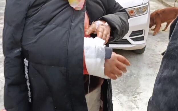 金毛因经常咬伤主人,险被男主人毒死,小哥:养狗一定要注意方法!