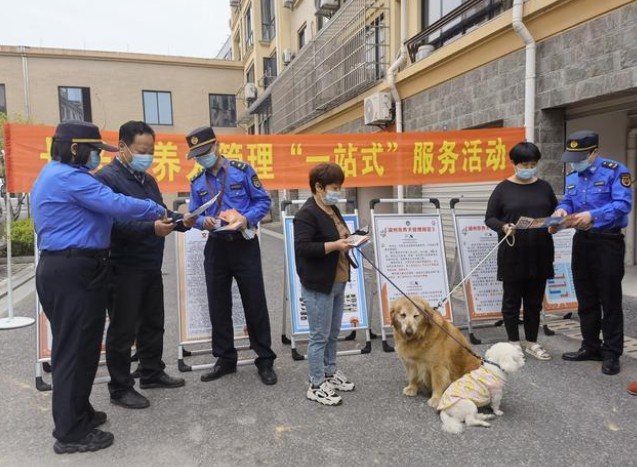 文明养犬有新招,湖州长兴“宠物公厕”上线啦