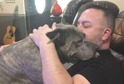 主人遭到打劫，二只曾被抛弃的比特犬，立刻爆冲救出他！