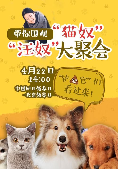 违规养狗会坐牢吗 | 铲屎官们注意了!违规养犬,你的爱犬会“坐牢”